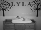 Lyla 1-24